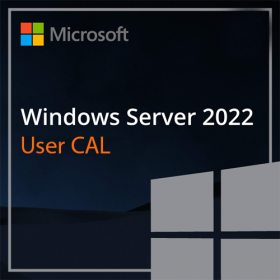 Microsoft Windows Server 2022 - 1 User CAL